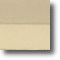 Sand Dollar 4462