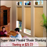 Pleated Shades