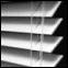 Comfortex Woodwinds Plantation 2 1/2" Shutter/Blinds Whites (100% Wood Alloy)
