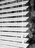 woodwinds, reed blind, s-curve, slats, wood tones