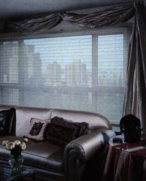 (c) Budget Custom Roller Shade with Phifer SheerWeaveSun Control Solar Fabric Style 2000 - 5% Open