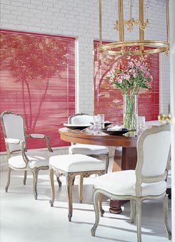 Graber 1" Vinyl Mini Blind