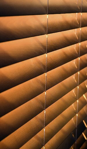basswood, real wood blinds, 2 and a half inch