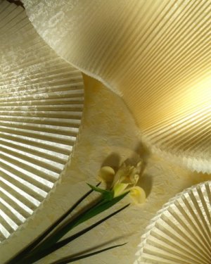 symphony cellular shades, symphony, cellular shades, print fabric
